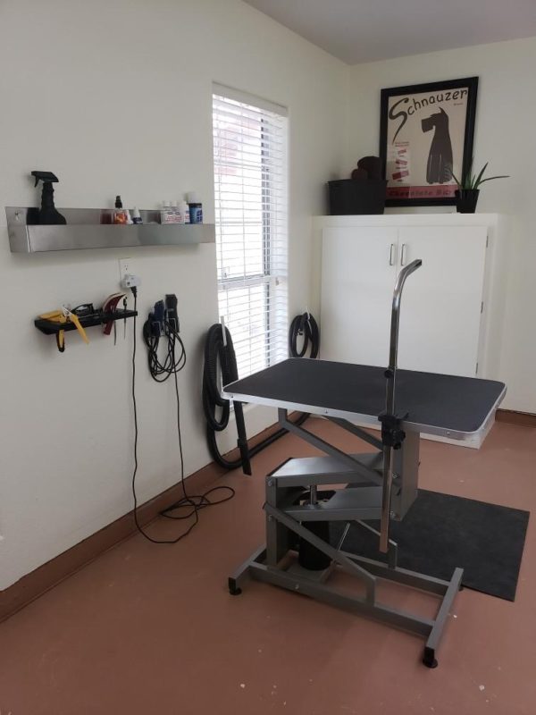 Dog Groomer in Surprise Az Monkey Jumpers Dog Grooming